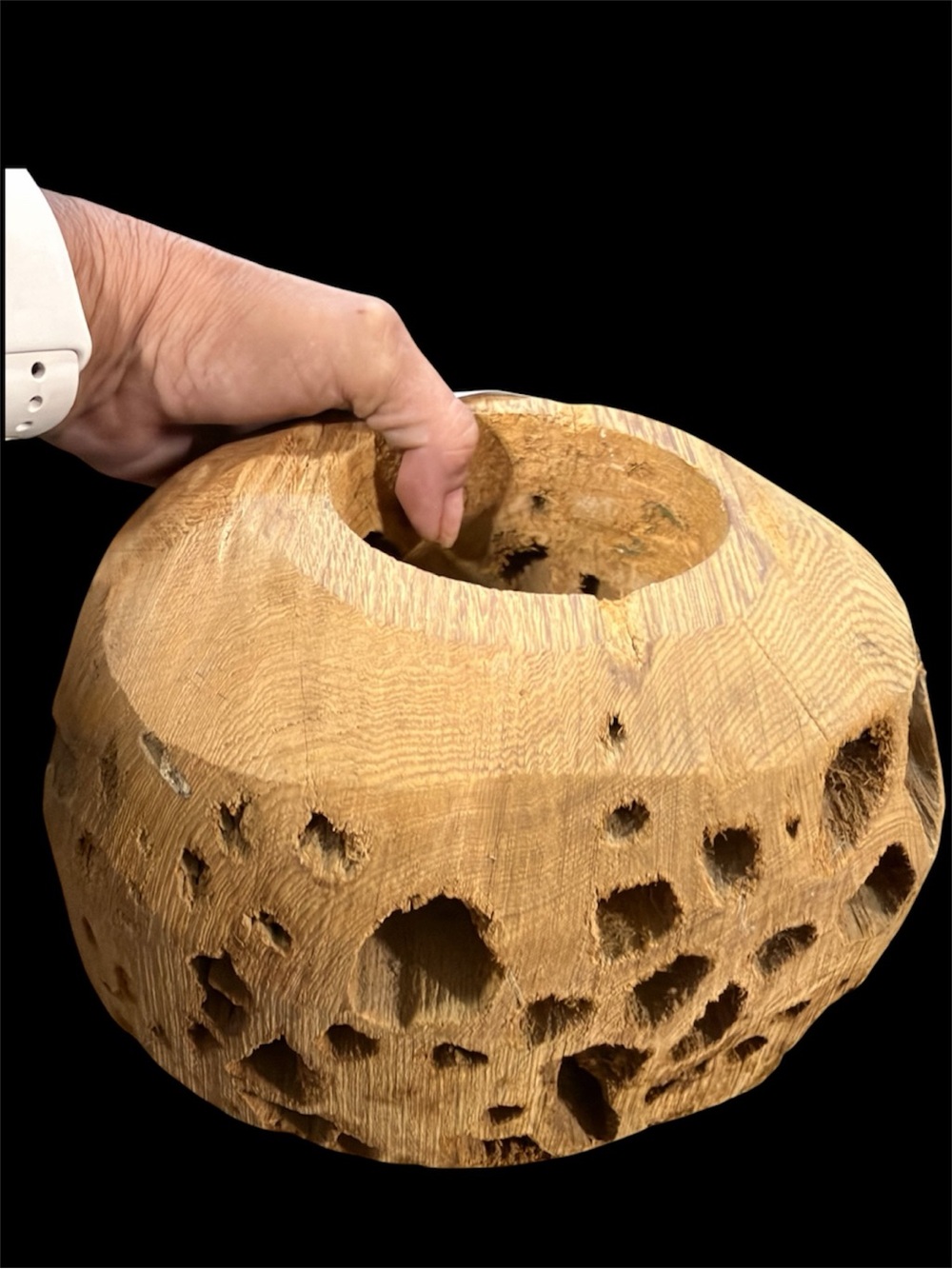 Vintage Hand Turned Banksia Pod Burlwood Hollow Form Bowl Rustic Statement Piece